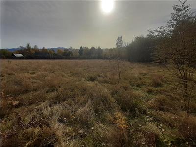 Teren intravilan de vanzare in Avrig zona Valea Avrigului