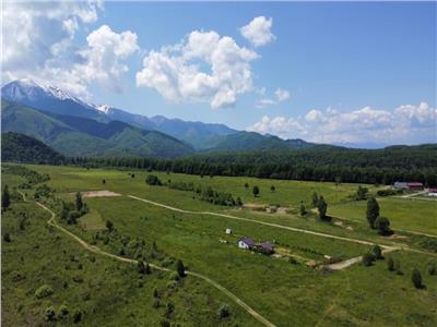 Teren intravilan de vanzare in Avrig zona Valea Avrigului