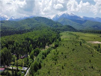 Teren intravilan 1000 mp de vanzare pe Valea Avriguluiu in Loc Avrig