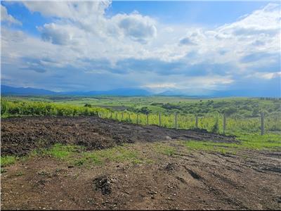 Teren intravilan cu deschidere de 21 m in Daia Noua din Sibiu